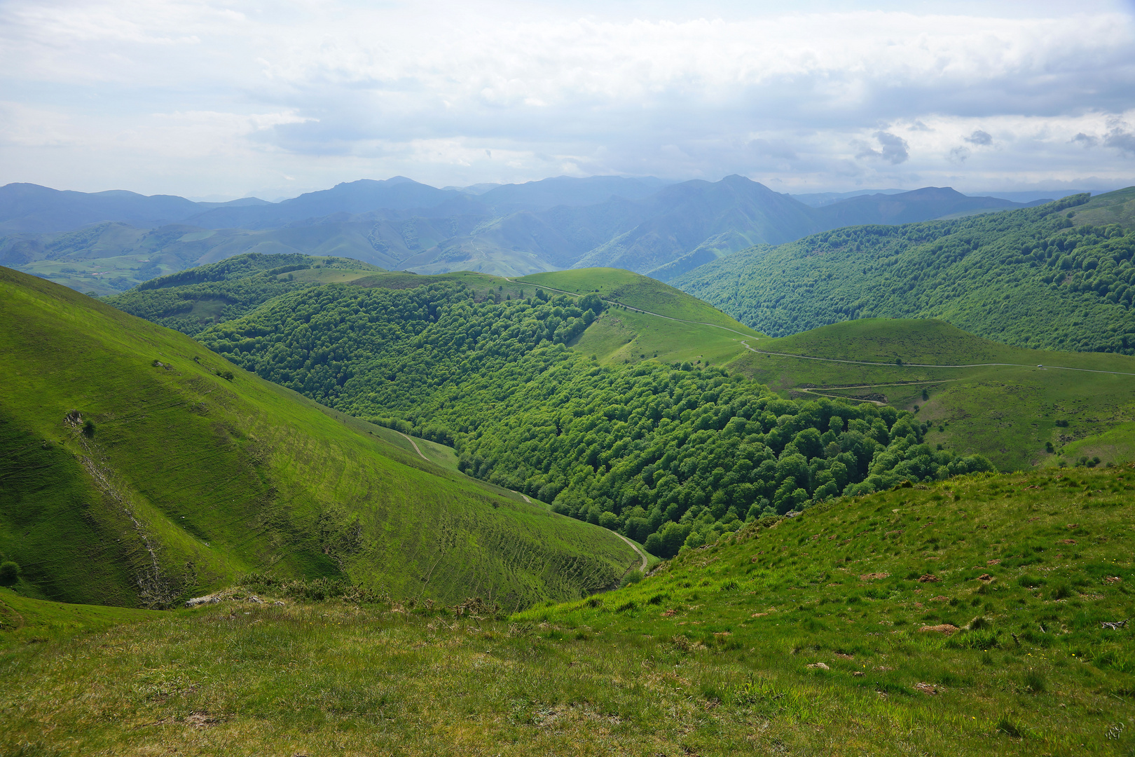 Le Pays Basque en vert ...