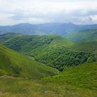 Le Pays Basque en vert ...