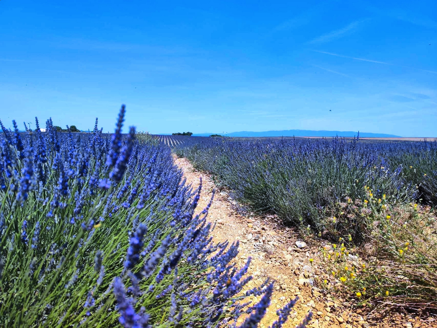 Le pays bleu (3)