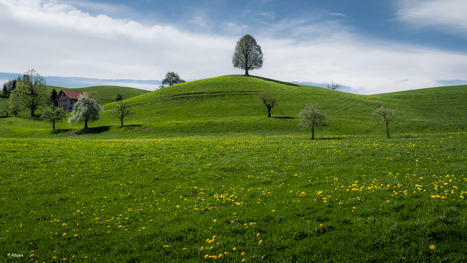 Le pays des merveilles