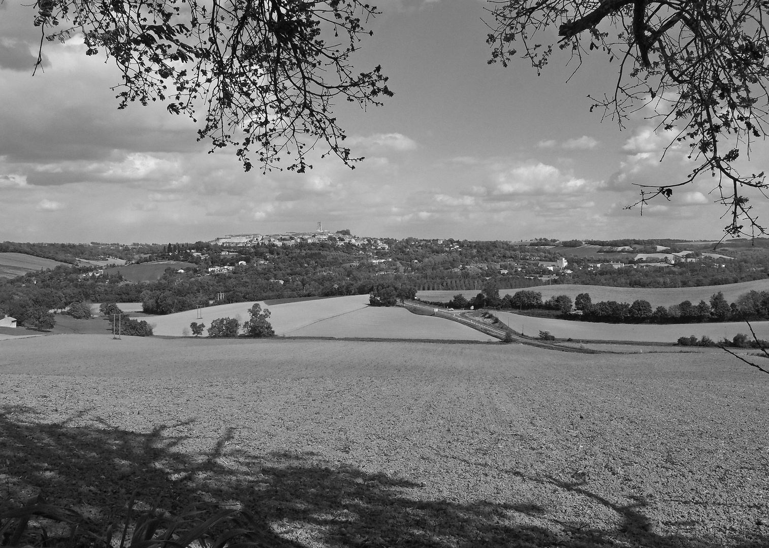 Le paysage devant Lectoure  - Gers