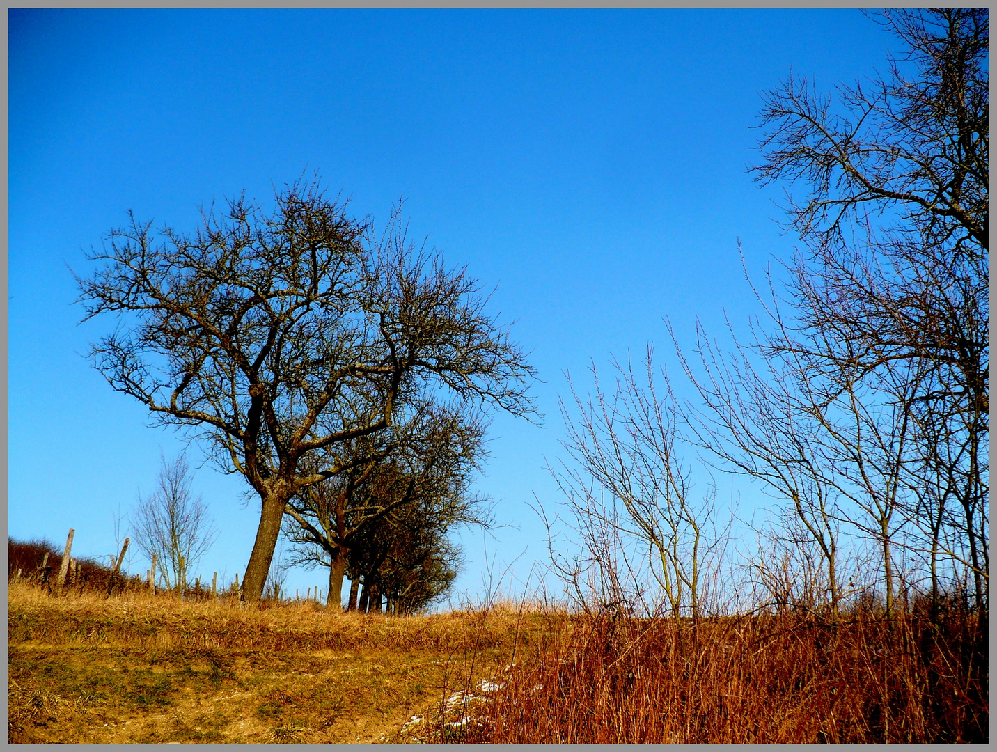 Le paysage esseulé ...