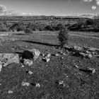 le paysage et le noir et blanc