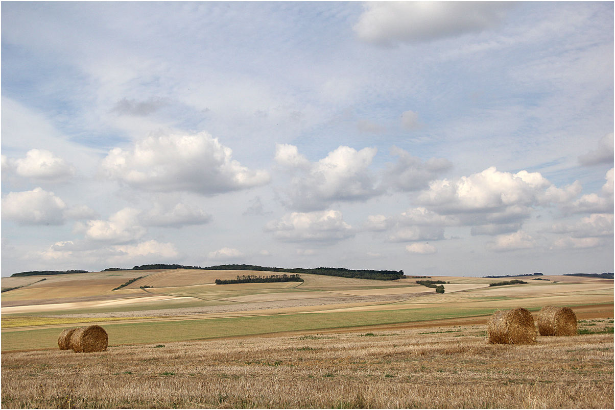 le  paysage icaunais,  qui  connait ? 