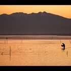 le pêcheur