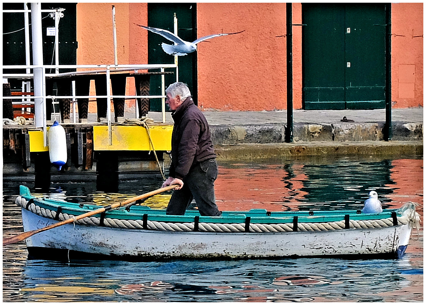 Le pêcheur aux mouettes