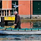 Le pêcheur aux mouettes