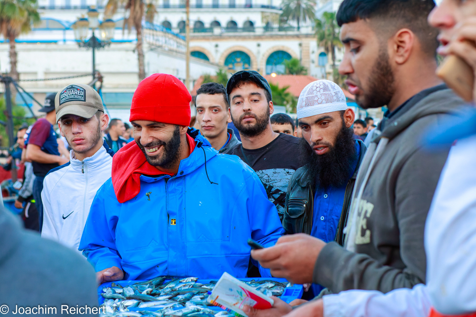 Le pêcheur avec sa proie du matin dans le port d'Alger