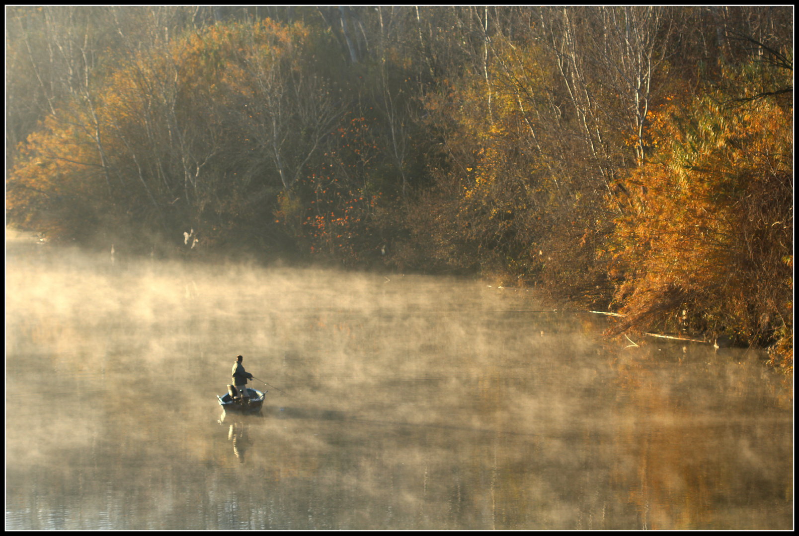 Le pêcheur dans la brume