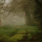 le pêcheur dans le brouillard !!