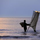 Le pêcheur de crevettes