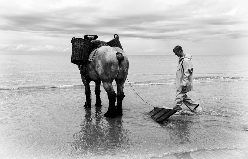 Le pêcheur de crevettes