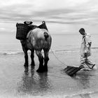 Le pêcheur de crevettes