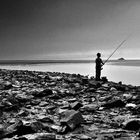 Le pêcheur de la baie.