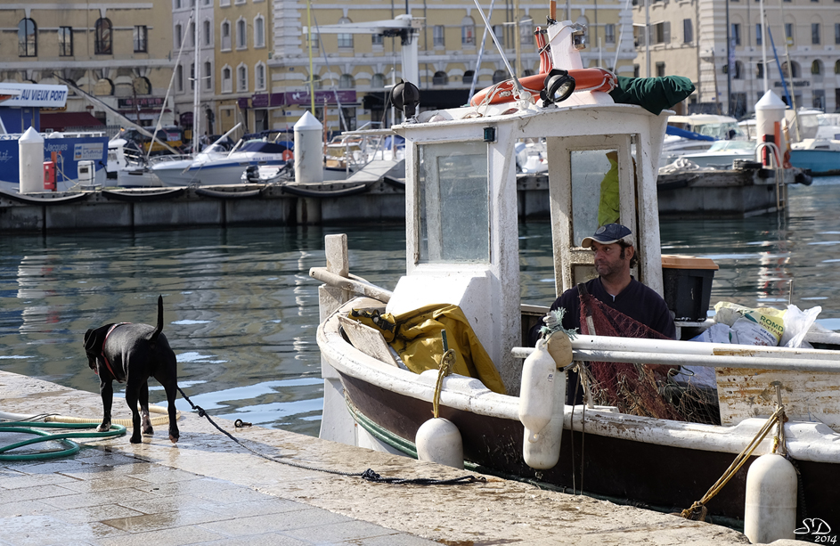 Le pêcheur et son chien