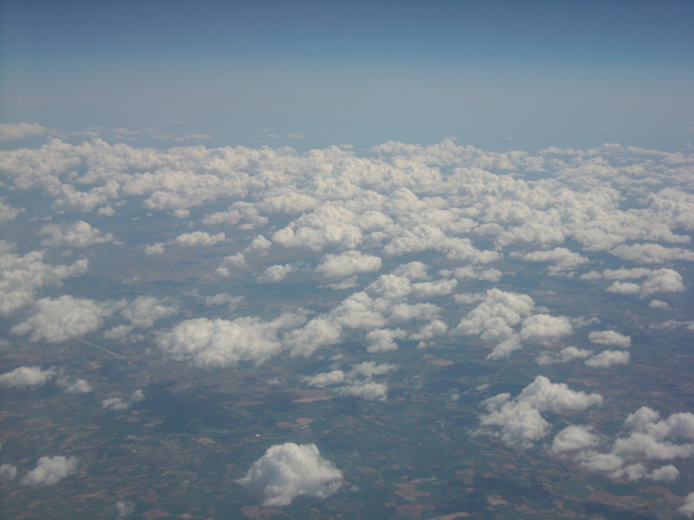 Le Pecorelle del Cielo!!!