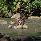 Le penseur au milieu de la rivière