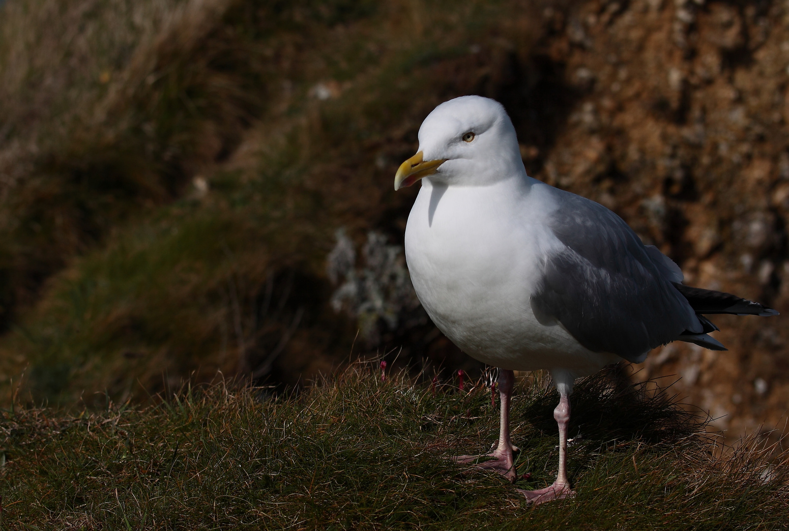 le Penseur d' Etretat