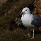 le Penseur d' Etretat