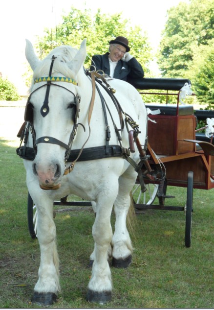 Le Perche pays du cheval