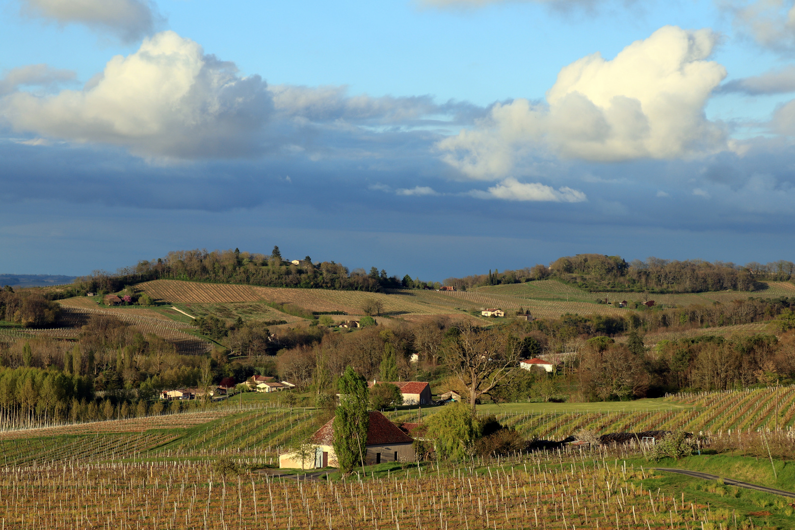 Le Périgord et ses vignes