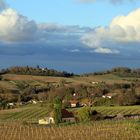 Le Périgord et ses vignes