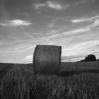 Le Périgord noir