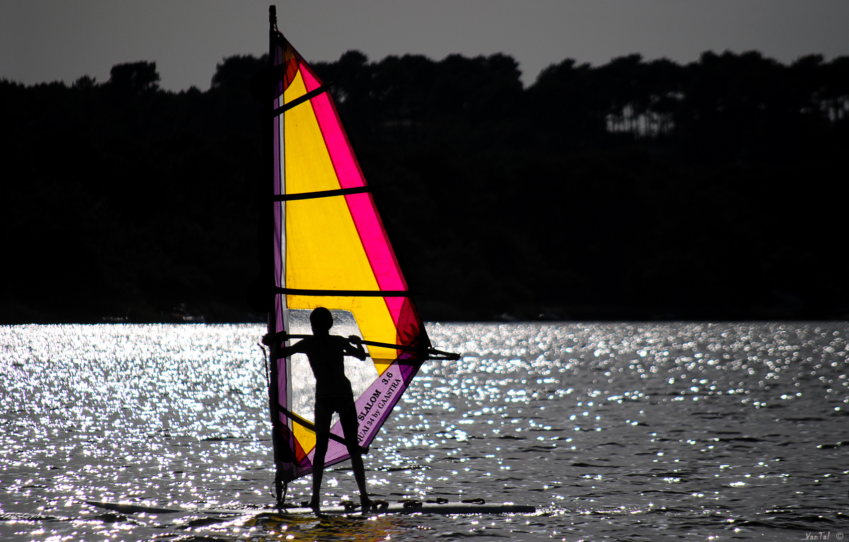 Le pessimiste se plaint du vent, l'optimiste espère qu'il va changer, le réaliste ajuste ses voiles.