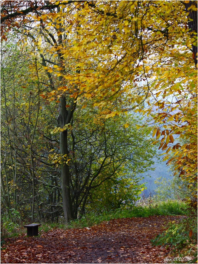 "Le petit banc "