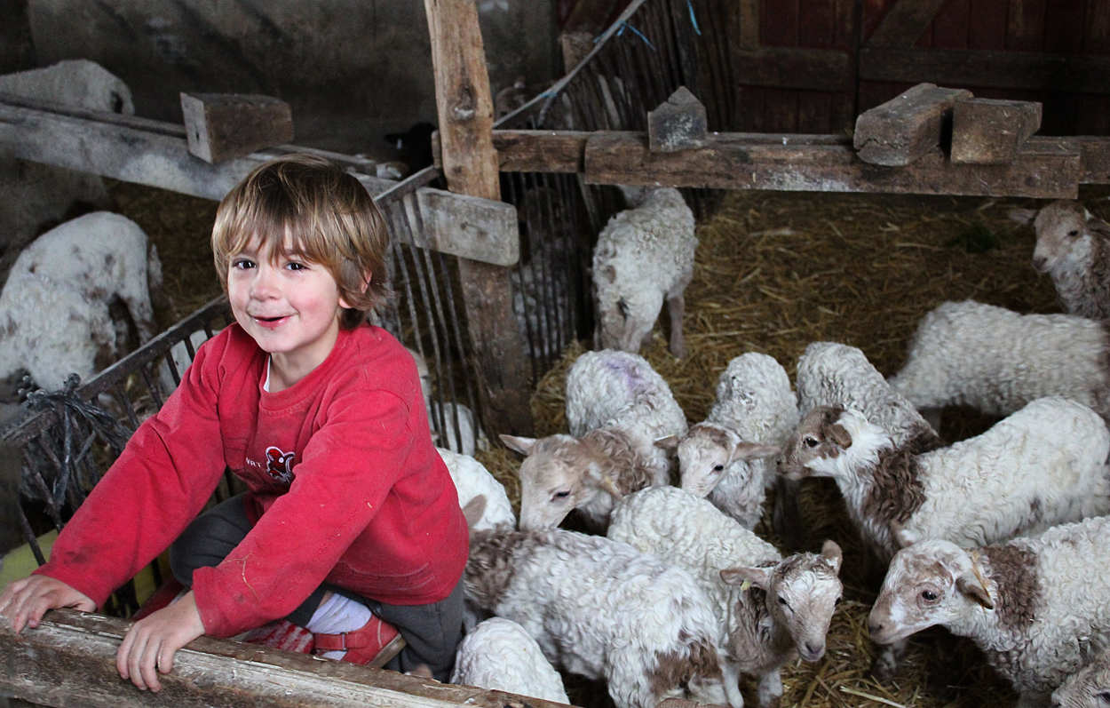 le petit berger aime être photographié photo et image personnes