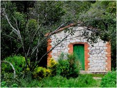 Le petit cabanon