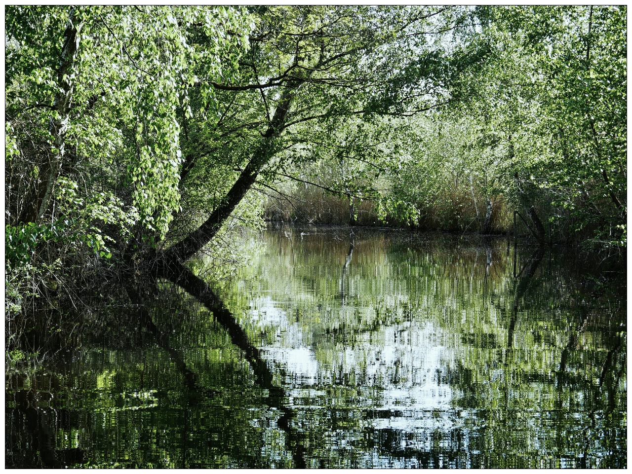 Le petit canal près de la rotonde