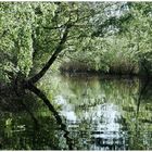 Le petit canal près de la rotonde