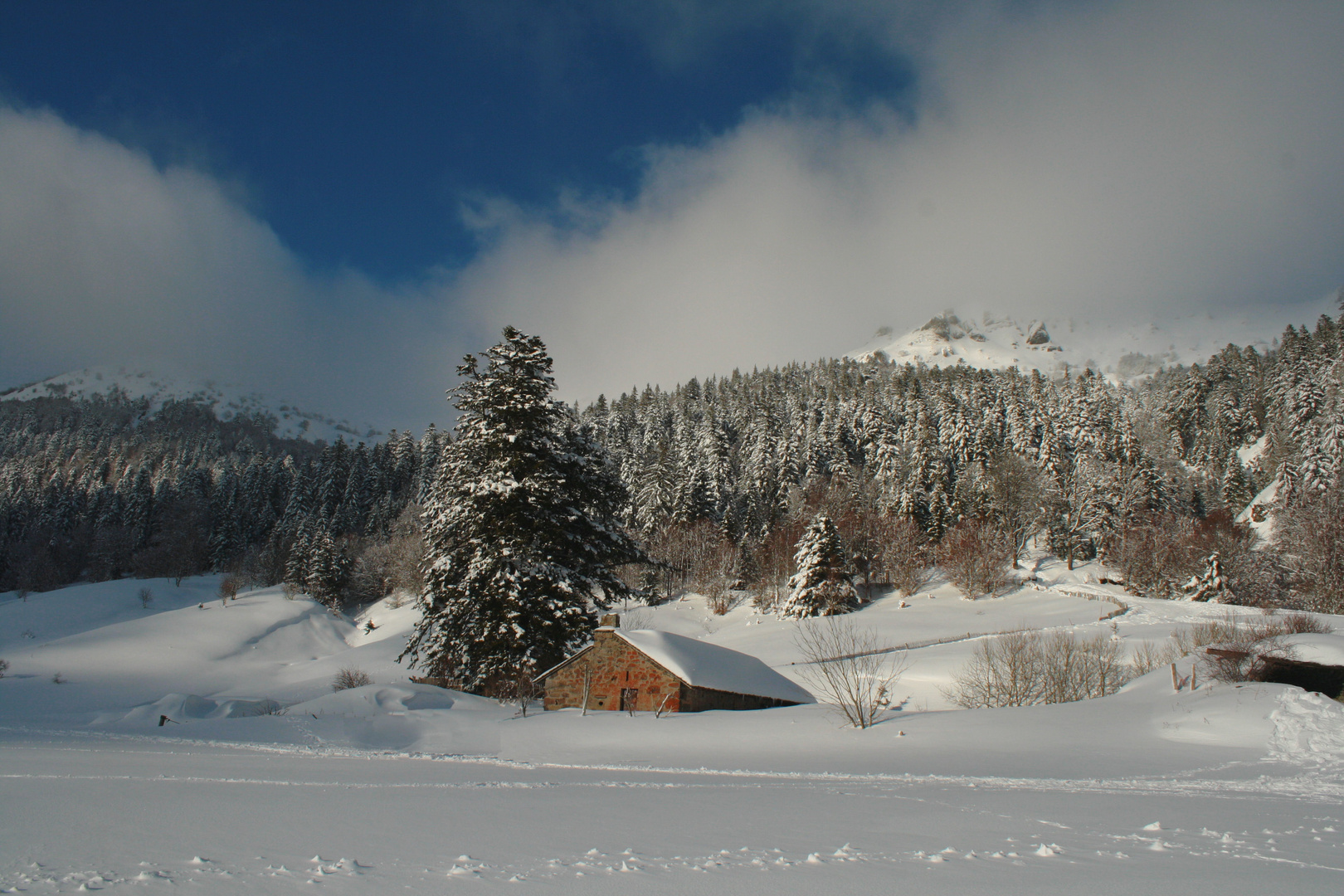 le petit chalet