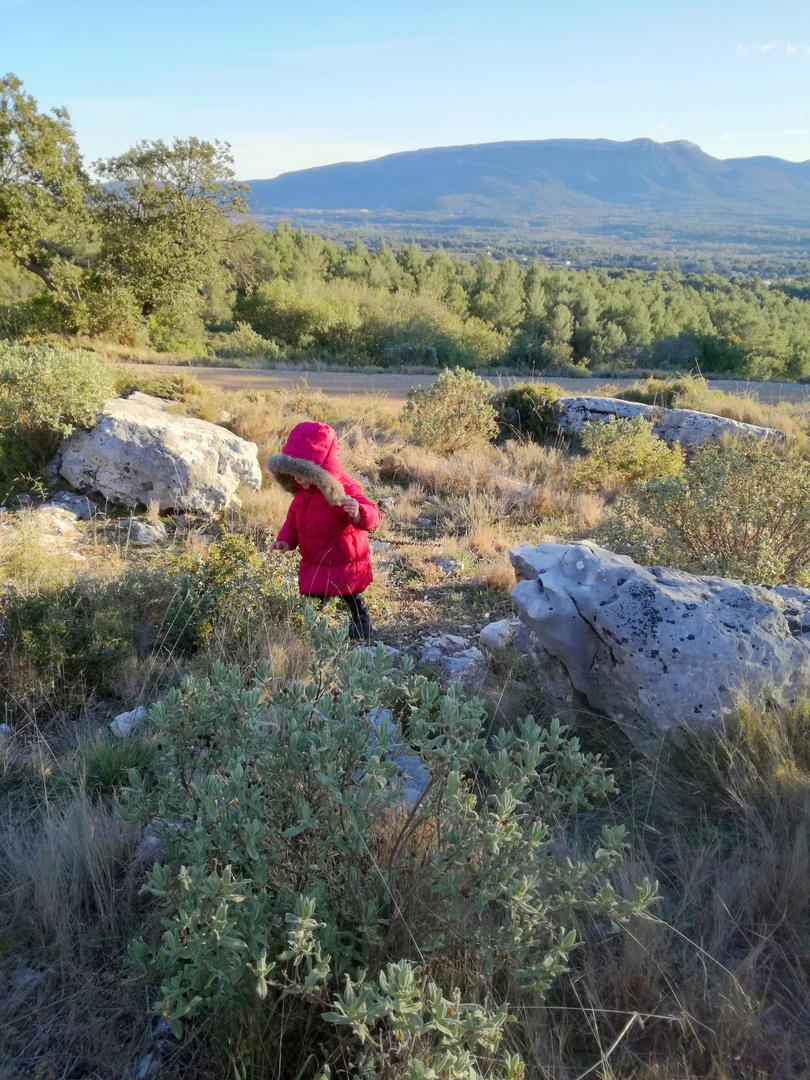 Le petit chaperon rouge ...