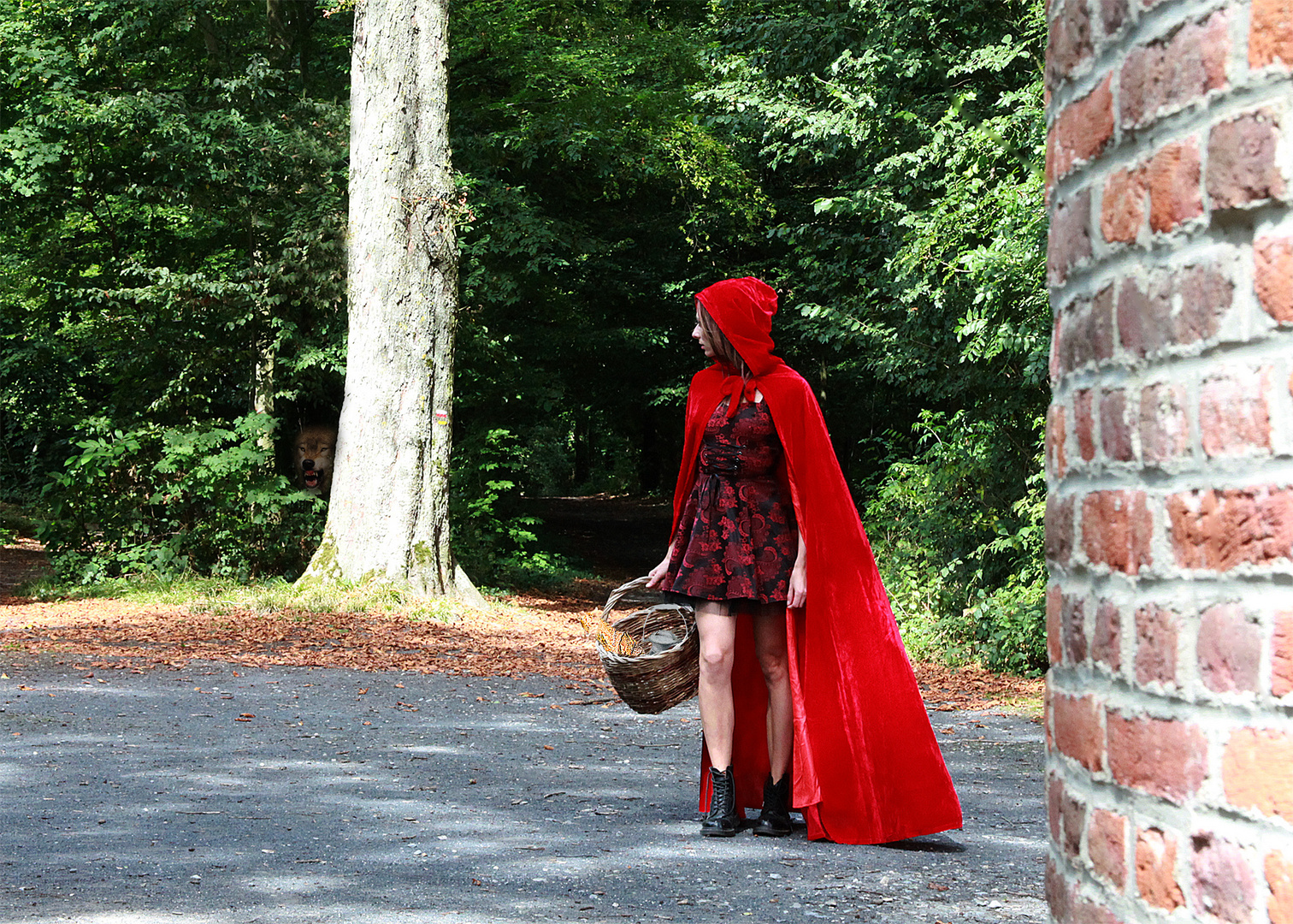 Le petit chaperon rouge arrive enfin devant chez mère grand.....