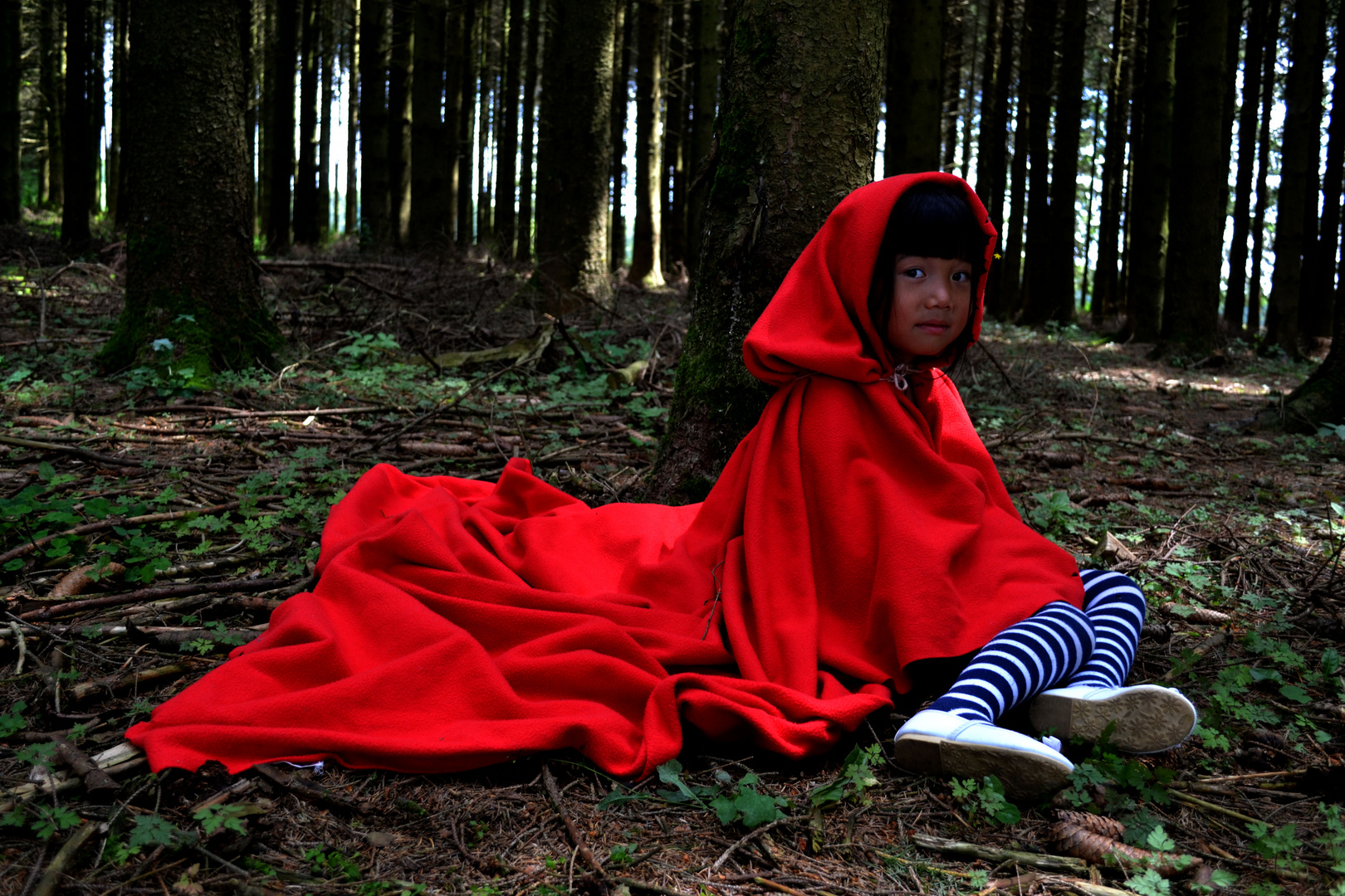 Le petit chaperon rouge