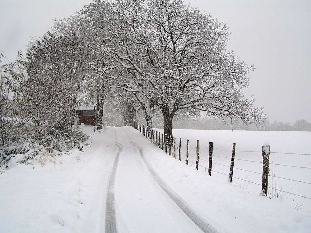 Le petit chemin