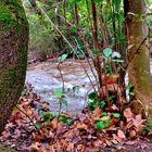 Le petit cours d'eau