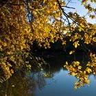 Le petit lac près de chez moi -- Der kleine See neben meinem Haus