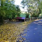 le petit lavoir 