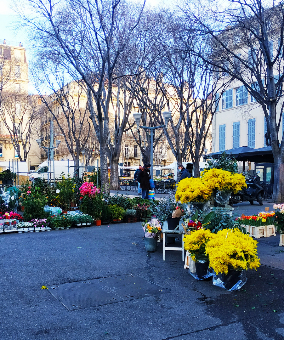 Le petit marché aux fleurs