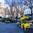 Le petit marché aux fleurs