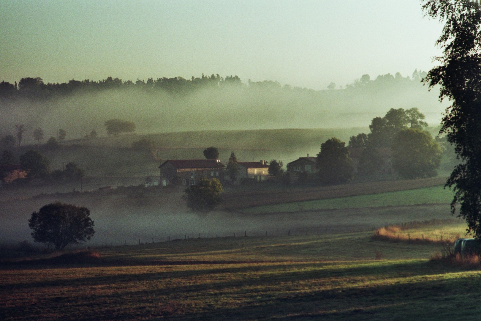 Le petit matin