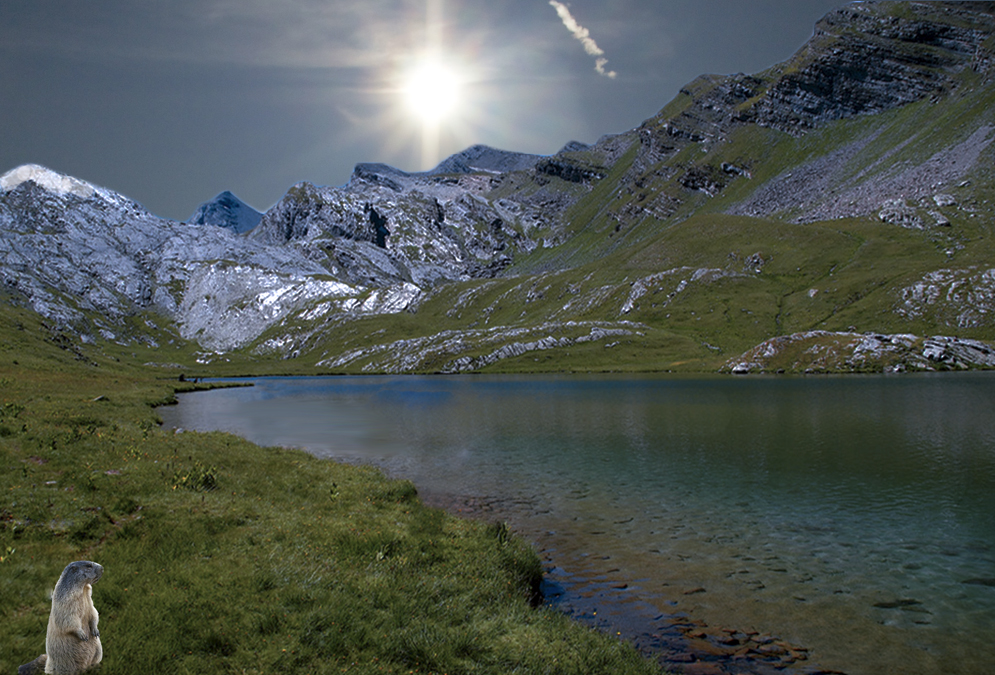 Le petit matin de la marmotte