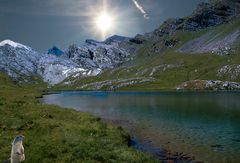 Le petit matin de la marmotte