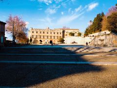 Le Petit Palais d'Avignon