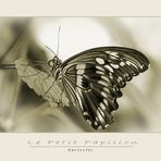 Le Petit Papillon - Zurückgelehnt am Besten zu betrachten