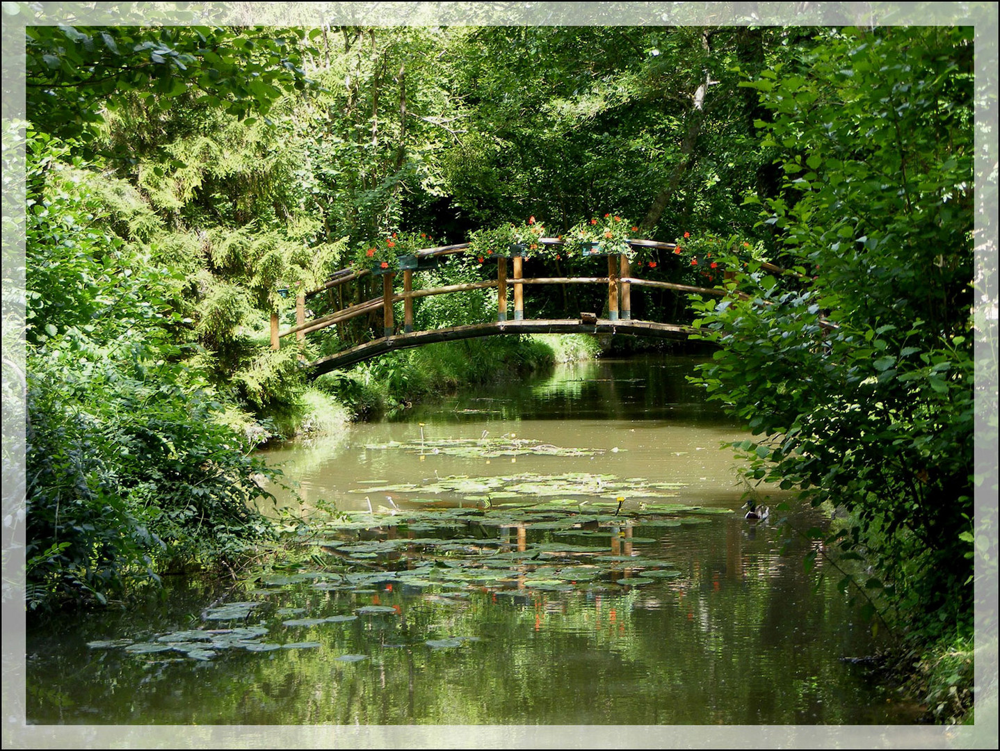 Le petit pont