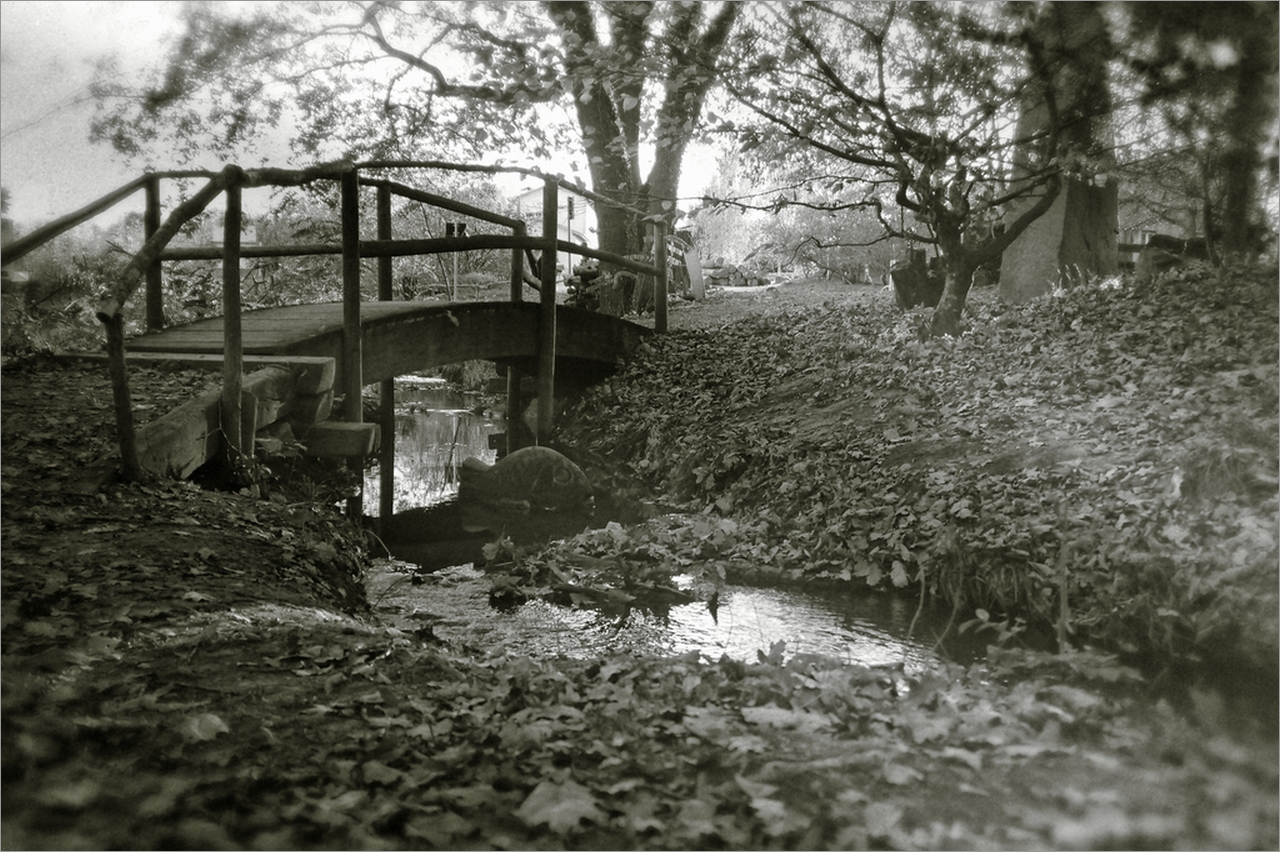 Le petit pont